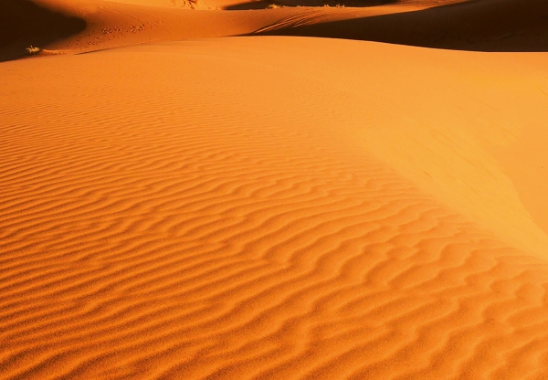 Fototapet 00976 Peisaj din desert [2]