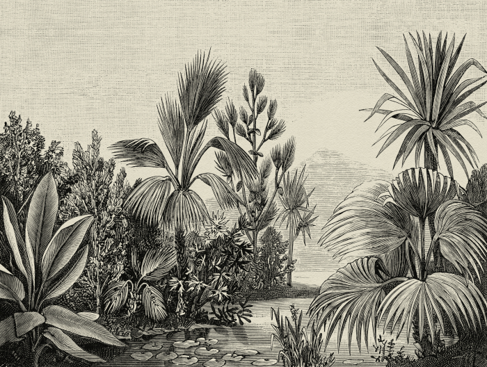 Fototapet jungla vintage gri 382351  -  A.S. Creation [3]