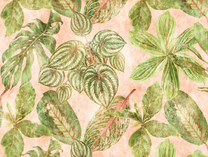 Fototapet frunze tropicale verde 382421 - A.S. Creation [3]