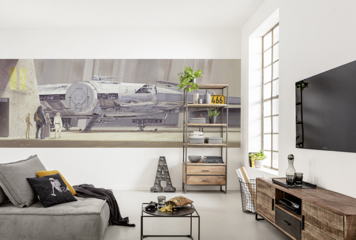 Fototapet 4-4112 Star Wars - Millenium Falcon [2]