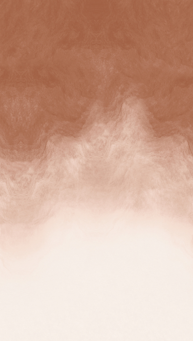 Fototapet gradient culoare maro 792164  -  A.S. Creation [6]