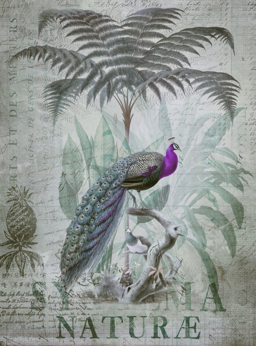 Fototapet jungla gri DD119709  -  A.S. Creation [2]