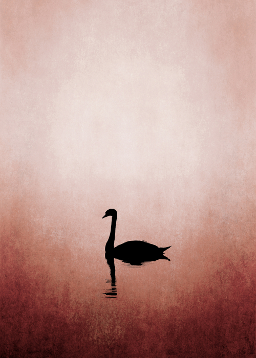 Fototapet lebada pe lac roz DD119917  -  A.S. Creation [2]
