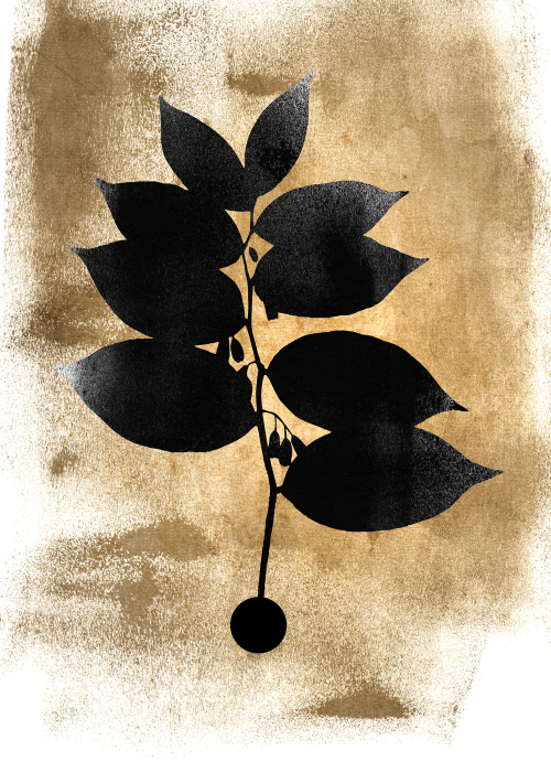 Fototapet planta neagra pe fundal auriu DD119953  -  A.S. Creation [2]