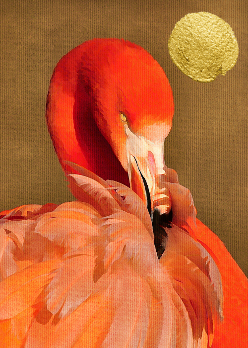 Fototapet flamingo rosu DD119957  -  A.S. Creation [2]
