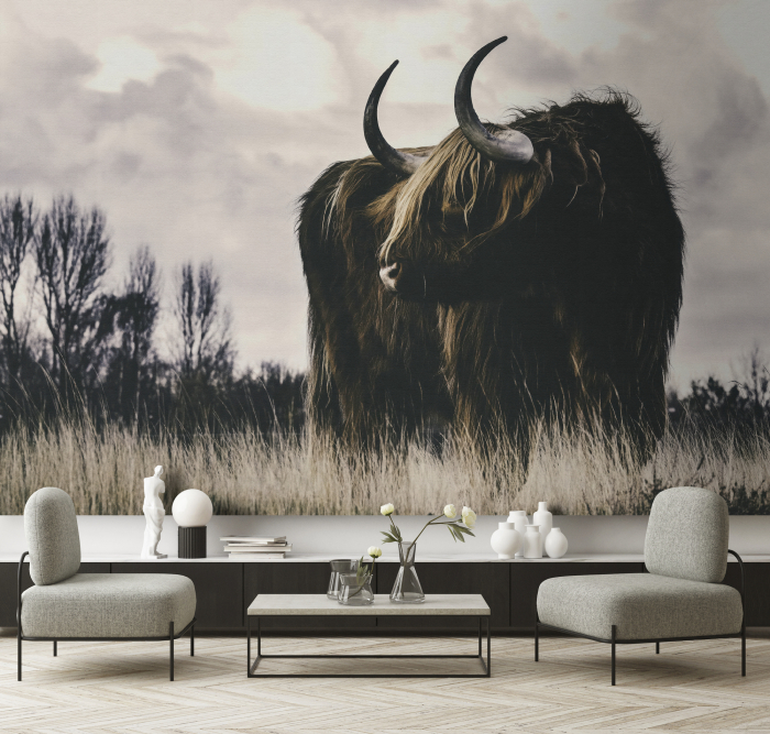 Fototapet bovin Highland maro DD134111 - A.S. Creation [2]