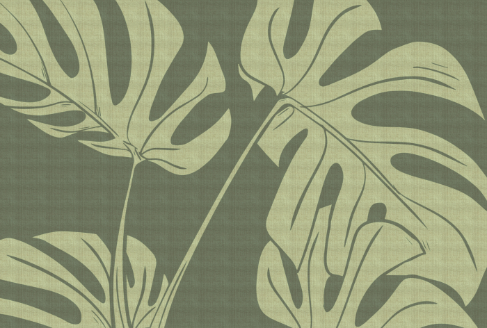 Fototapet frunze Monstera verde DD134165 - A.S. Creation [6]