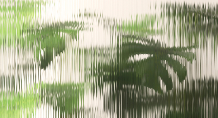 Fototapet frunze monstera verde DD134975 - A.S. Creation [5]