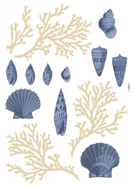 Sticker decorativ 19701 Atlantic [2]