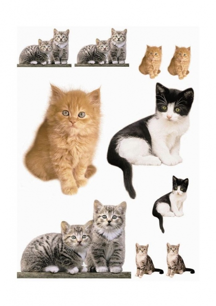 Sticker decorativ 17010 Kitty [2]