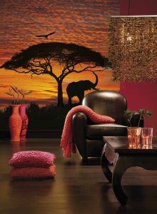 Fototapet 4-501 Apus African [1]