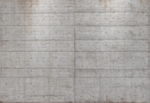 Imitatii, texturi, obiecte - Fototapet 8-938 Beton