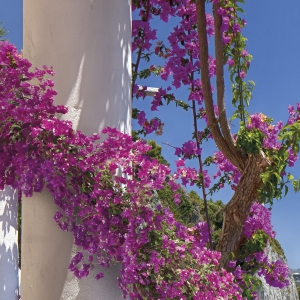 Fototapet 8-931 Amalfi [1]