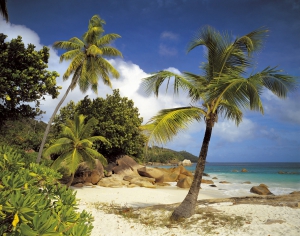 Fototapet - Fototapet 8-885 Praslin