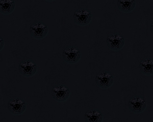 Modele grafice & geometrice - Tapet 34862-2 Versace 3