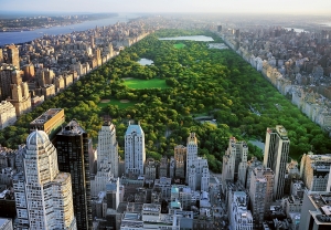 Fototapet - Fototapet 00163 Central Park NY