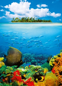 Peisaje & Natura - Fototapet 00374 Insula tropicala