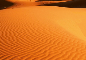 Fototapet 00976 Peisaj din desert [1]
