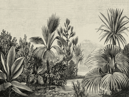 Fototapet jungla vintage gri 382351  -  A.S. Creation [2]