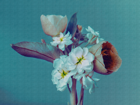 Fototapet buchet floral albastru 382691 - A.S. Creation [2]