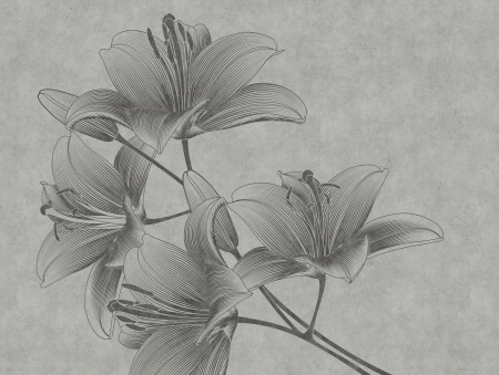 Fototapet crini stil line art gri 382781 - A.S. Creation [2]