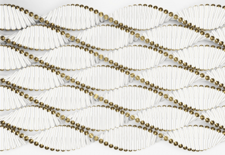 3D - Fototapet 8-205 Twist