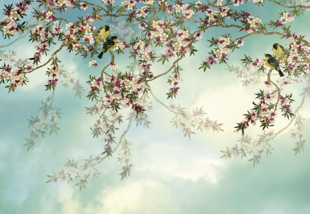 Fototapete florale - Fototapet 8-213 Sakura - Cires Japonez 