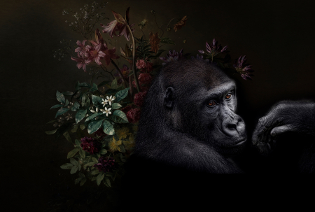 Fototapet cu animale - Fototapet cu flori negru DD110626  -  A.S. Creation