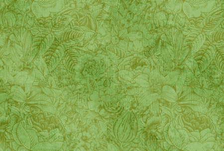 Colectii - Fototapet cu flori verde DD111051  -  A.S. Creation