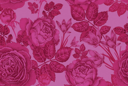 Walls by Patel - Fototapet flori roz DD111151  -  A.S. Creation