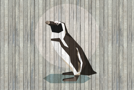 Fototapet - Fototapet panouri lemn pinguin albastru DD113412  -  A.S. Creation