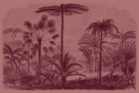 Fototapet - Fototapet cu elemente de jungla roz DD113692  -  A.S. Creation