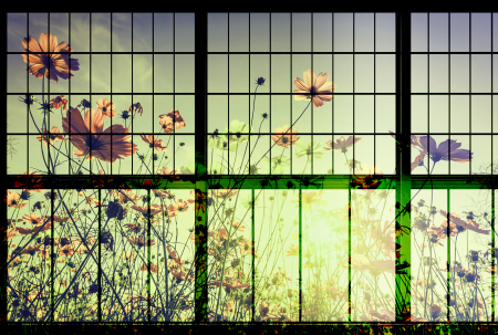 Colectii - Fototapet priveliste verde DD113752  -  A.S. Creation