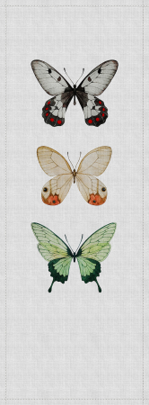 Fototapet - Fototapet fluturi gri DD114042  -  A.S. Creation