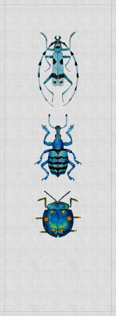 Fototapet - Fototapet insecte albastru DD114057  -  A.S. Creation