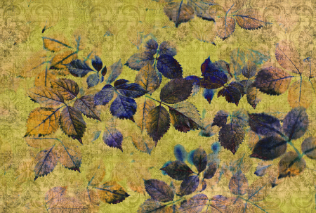 Fototapet - Fototapet cu frunze galben DD114092  -  A.S. Creation