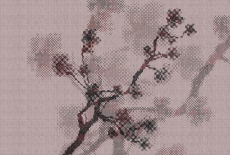 Walls by Patel 2 - Fototapet roz DD114207  -  A.S. Creation