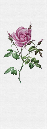 Colectii - Fototapet trandafir roz DD114457  -  A.S. Creation