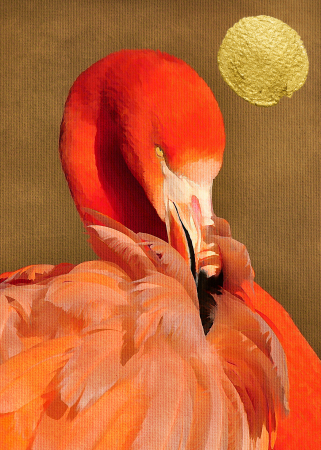 Fototapet flamingo rosu DD119957  -  A.S. Creation [1]