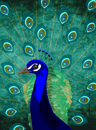 Fototapet paun verde DD120045  -  A.S. Creation [1]