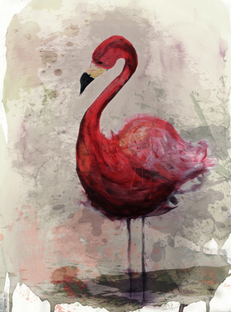Fototapet flamingo rosu DD120049  -  A.S. Creation [1]