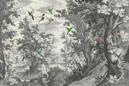 Fototapet - Fototapet padure si pasari gri DD121876  -  A.S. Creation