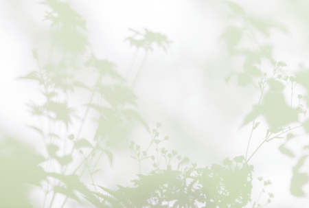 Walls by Patel 3 - Fototapet umbre verde DD122024  -  A.S. Creation