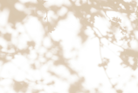 Walls by Patel 3 - Fototapet umbre crem/bej DD122036  -  A.S. Creation