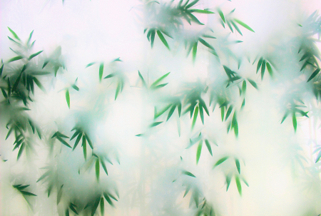 Walls by Patel 3 - Fototapet frunze verde DD122048  -  A.S. Creation