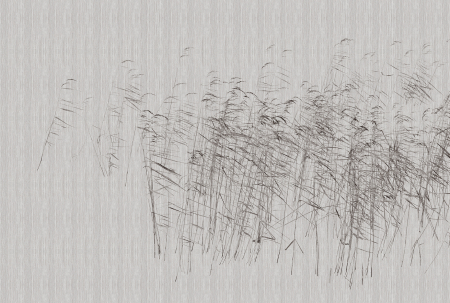 Walls by Patel 3 - Fototapet natura gri DD122056  -  A.S. Creation