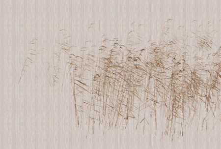Walls by Patel 3 - Fototapet natura maro DD122060  -  A.S. Creation