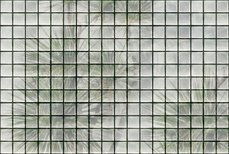 Walls by Patel 3 - Fototapet priveliste verde DD122072  -  A.S. Creation