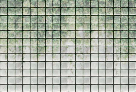 Walls by Patel 3 - Fototapet priveliste verde DD122076  -  A.S. Creation