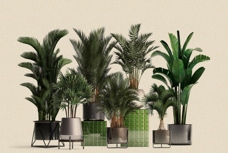 Walls by Patel 3 - Fototapet flori verde DD122084  -  A.S. Creation